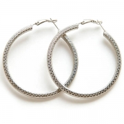 Earrings "Silver Rings"
